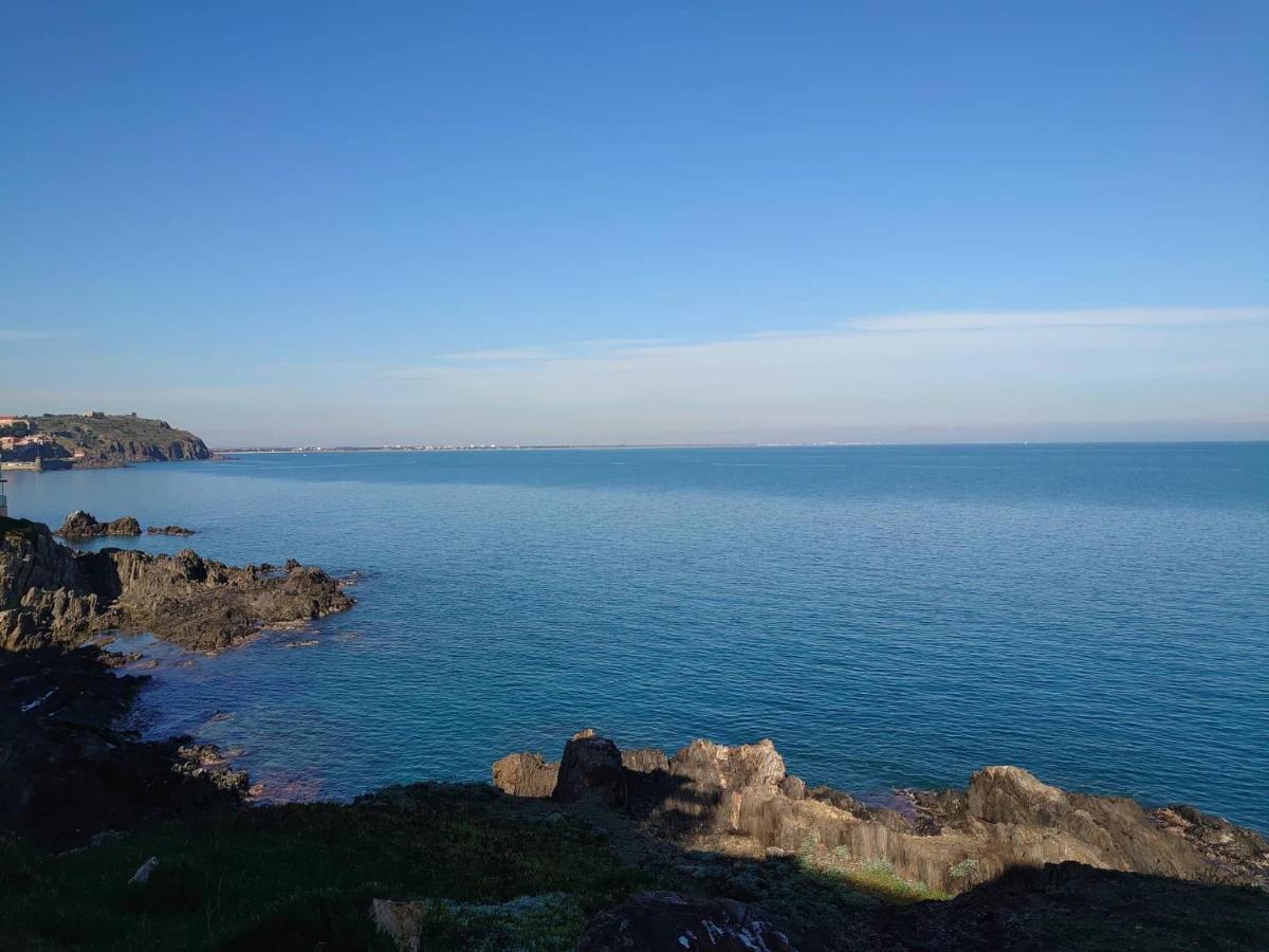 4Rb4 Appartement Type T2 Bord De Mer Acces Plage Direct Коллиур Экстерьер фото