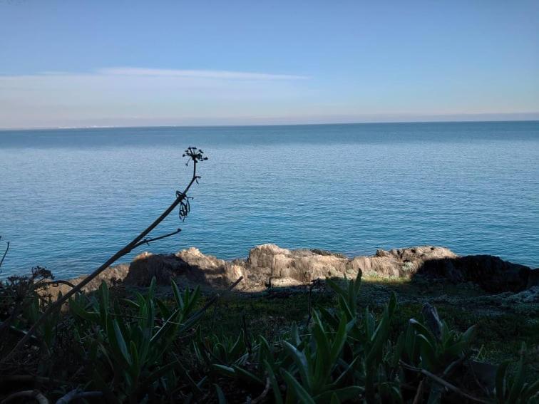4Rb4 Appartement Type T2 Bord De Mer Acces Plage Direct Коллиур Экстерьер фото